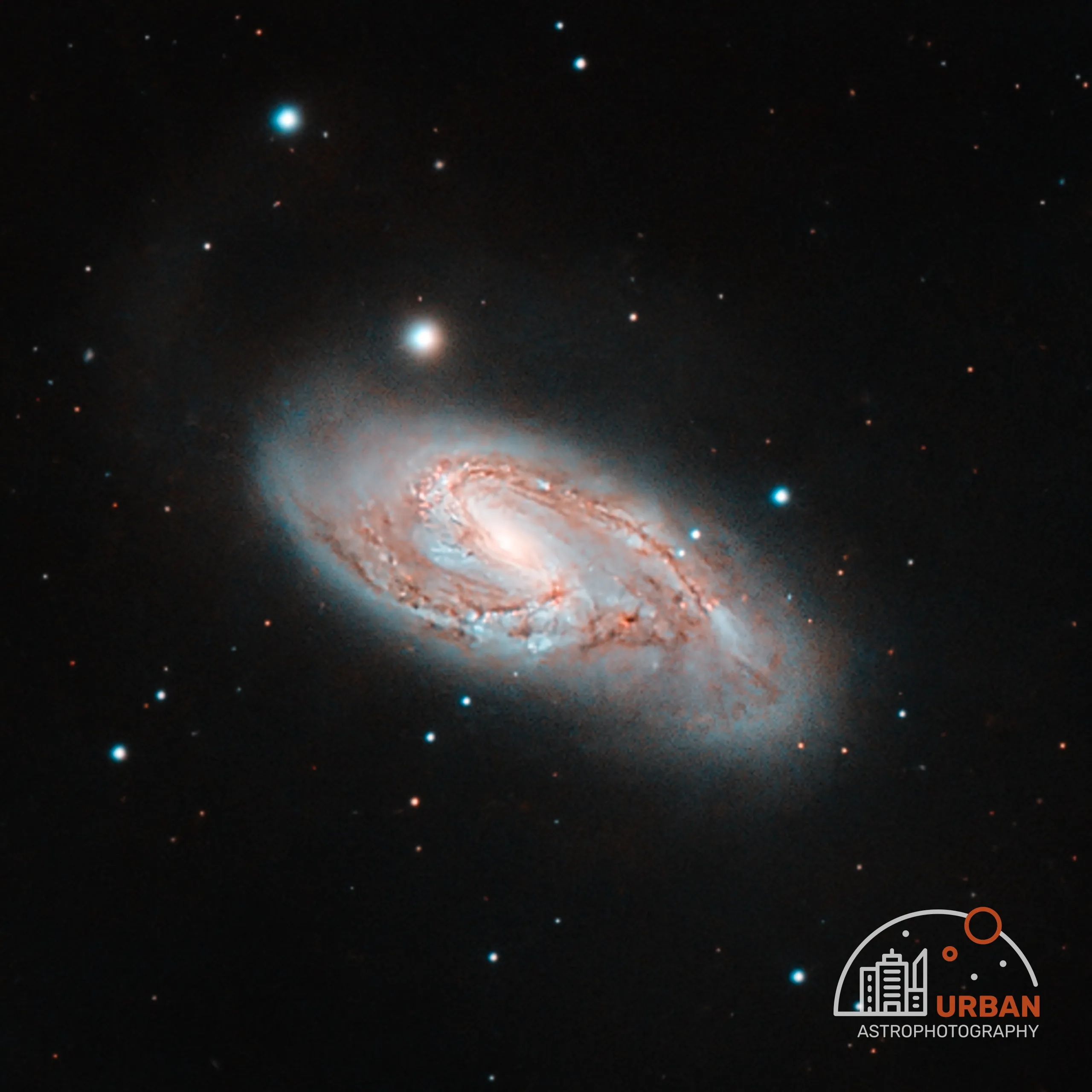 The Leo Triplet | NGC 3628, M65, M66 - Urban Astrophotography
